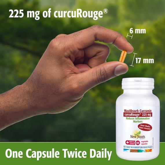 MaxAbsorb Curcumin