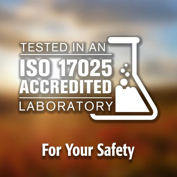 Milk Thistle